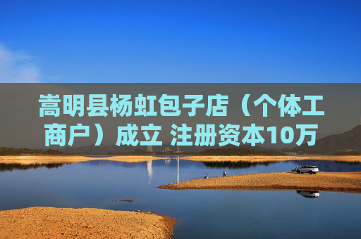 嵩明县杨虹包子店(个体工商户)成立 注册资本10万人民币