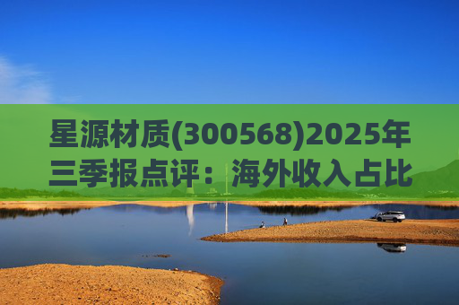 星源材质(300568)2025年三季报点评：海外收入占比提升 盈利水平改善