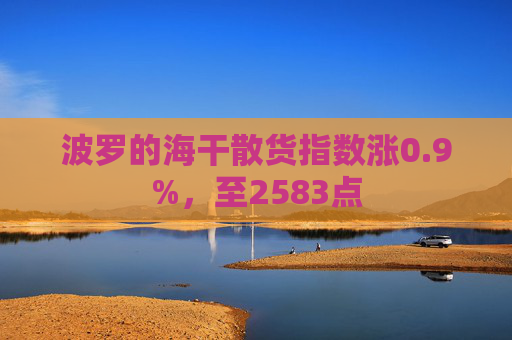 波罗的海干散货指数涨0.9%，至2583点  第1张
