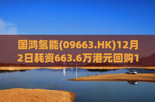国鸿氢能(09663.HK)12月2日耗资663.6万港元回购128.6万股