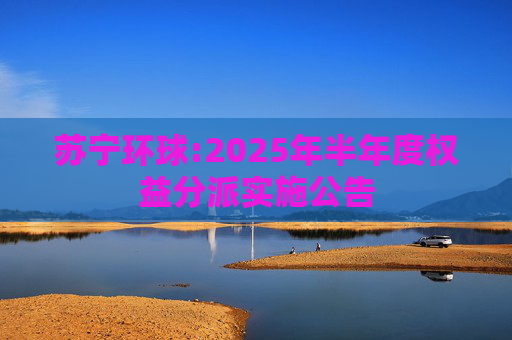 苏宁环球:2025年半年度权益分派实施公告