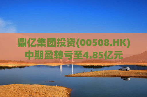 鼎亿集团投资(00508.HK)中期盈转亏至4.85亿元  第1张