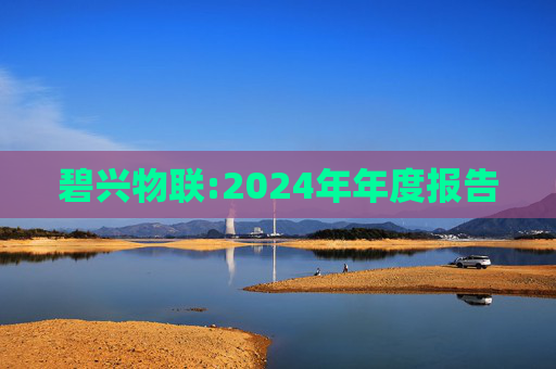 碧兴物联:2024年年度报告  第1张