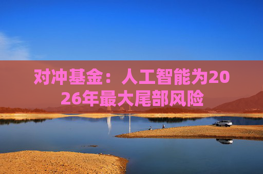 对冲基金：人工智能为2026年最大尾部风险