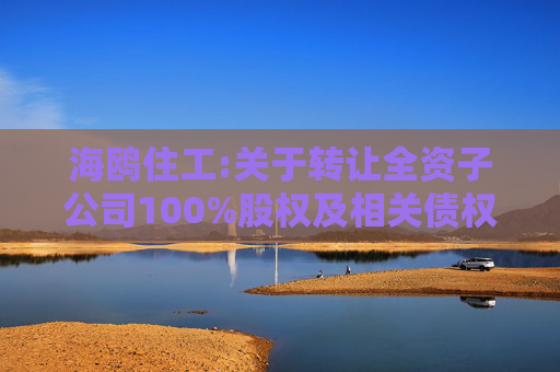 海鸥住工:关于转让全资子公司100%股权及相关债权暨债务豁免的公告