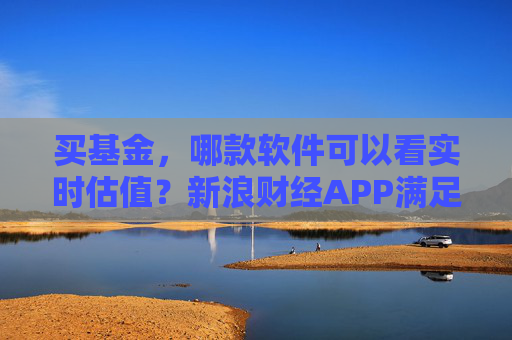买基金，哪款软件可以看实时估值？新浪财经APP满足你的投资需求