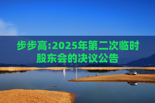 步步高:2025年第二次临时股东会的决议公告