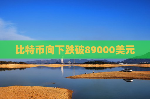 比特币向下跌破89000美元