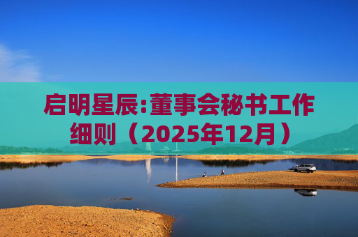 启明星辰:董事会秘书工作细则(2025年12月)