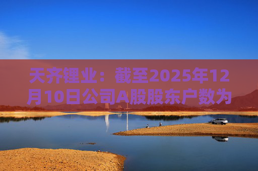 天齐锂业：截至2025年12月10日公司A股股东户数为307706户