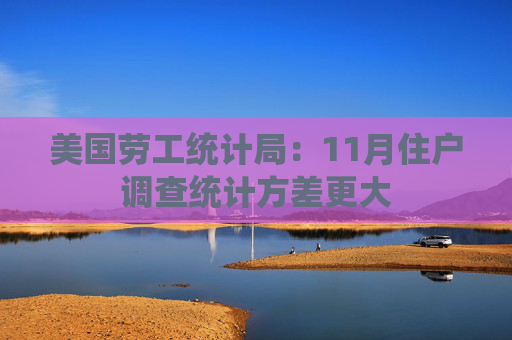 美国劳工统计局：11月住户调查统计方差更大