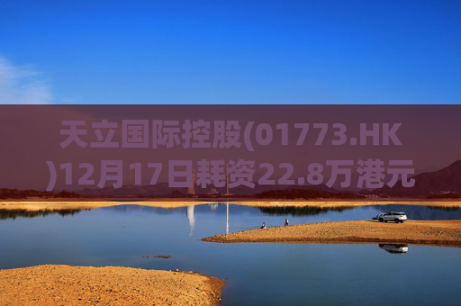 天立国际控股(01773.HK)12月17日耗资22.8万港元回购10万股