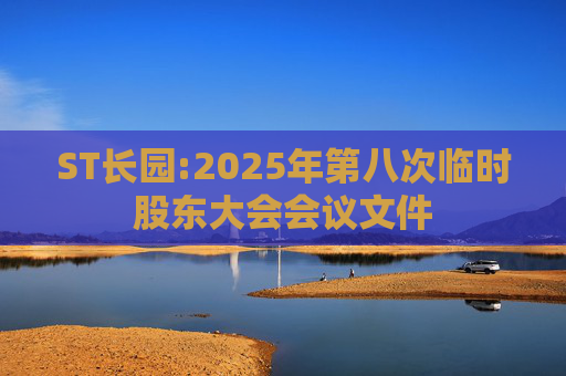 ST长园:2025年第八次临时股东大会会议文件