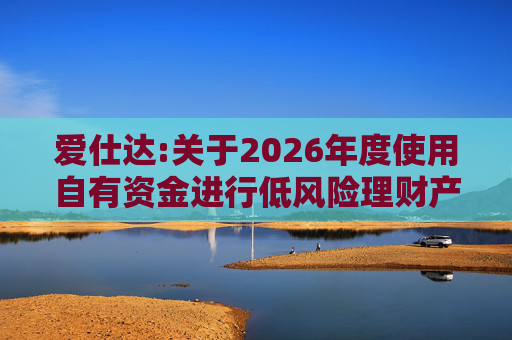 爱仕达:关于2026年度使用自有资金进行低风险理财产品投资的公告