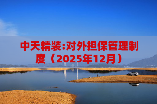 中天精装:对外担保管理制度（2025年12月）  第1张
