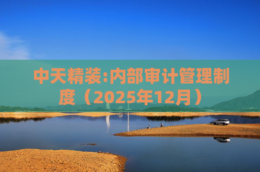 中天精装:内部审计管理制度（2025年12月）  第1张