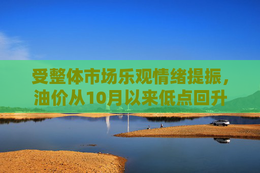 受整体市场乐观情绪提振，油价从10月以来低点回升
