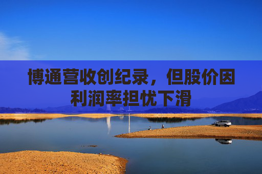 博通营收创纪录，但股价因利润率担忧下滑