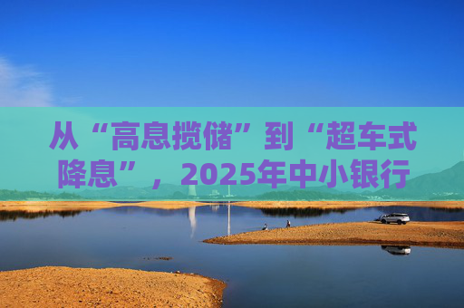 从“高息揽储”到“超车式降息”，2025年中小银行大幅下调存款利率｜2025中国经济年报