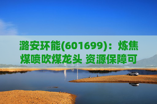 潞安环能(601699)：炼焦煤喷吹煤龙头 资源保障可持续发展