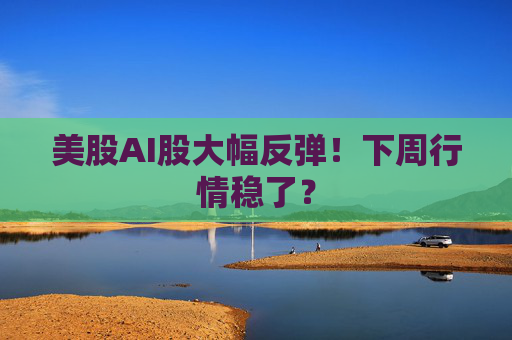 美股AI股大幅反弹！下周行情稳了？