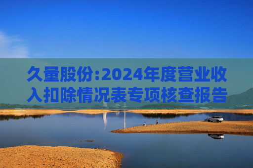 久量股份:2024年度营业收入扣除情况表专项核查报告  第1张