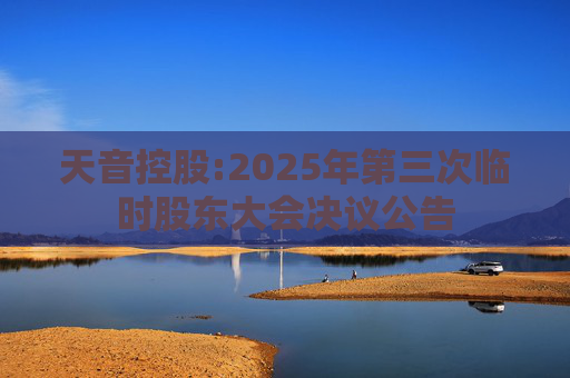 天音控股:2025年第三次临时股东大会决议公告