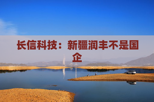 长信科技：新疆润丰不是国企  第1张