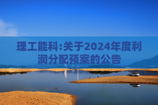 理工能科:关于2024年度利润分配预案的公告