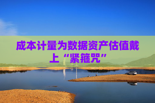 成本计量为数据资产估值戴上“紧箍咒”
