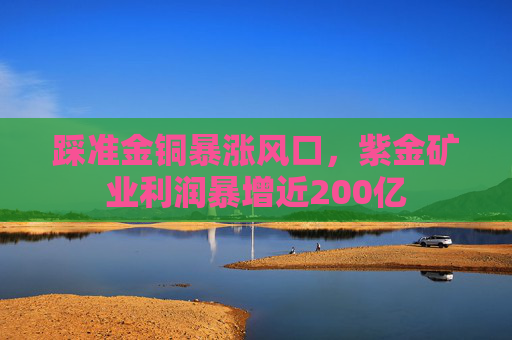 踩准金铜暴涨风口，紫金矿业利润暴增近200亿