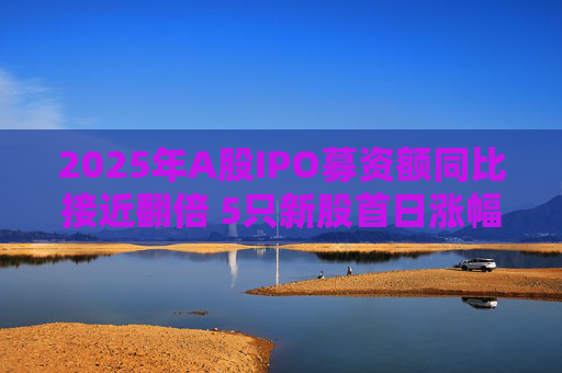 2025年A股IPO募资额同比接近翻倍 5只新股首日涨幅超6倍