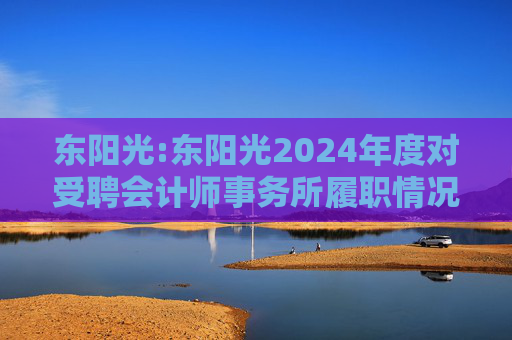 东阳光:东阳光2024年度对受聘会计师事务所履职情况的评估报告
