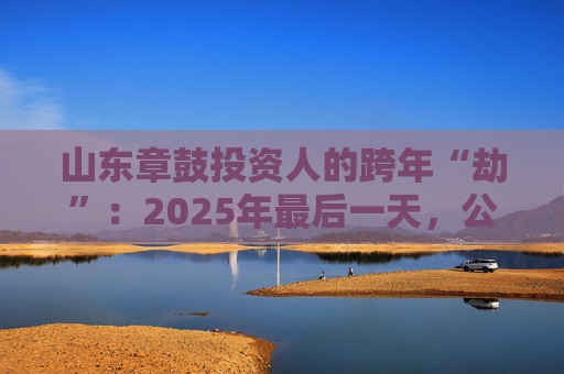 山东章鼓投资人的跨年“劫”：2025年最后一天，公司披露被中国证监会立案调查