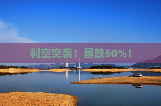 利空突袭!暴跌50%! 第1张 利空突袭!暴跌50%! 第1张