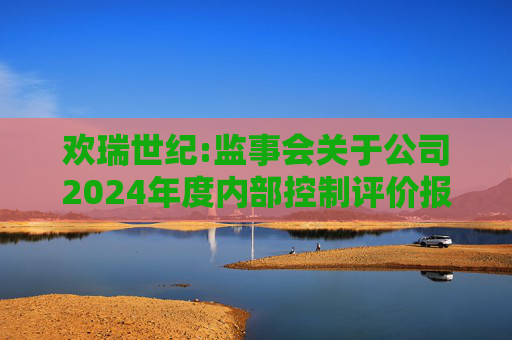 欢瑞世纪:监事会关于公司2024年度内部控制评价报告的意见