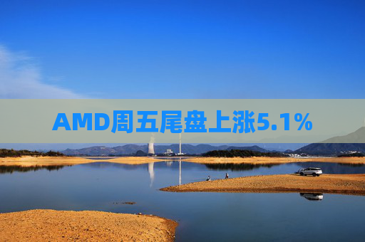 AMD周五尾盘上涨5.1%  第1张