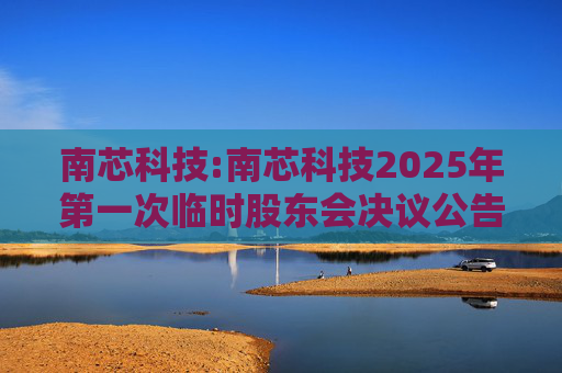 南芯科技:南芯科技2025年第一次临时股东会决议公告  第1张