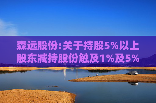 森远股份:关于持股5%以上股东减持股份触及1%及5%整数倍暨披露简式权益变动报告书的提示性公告