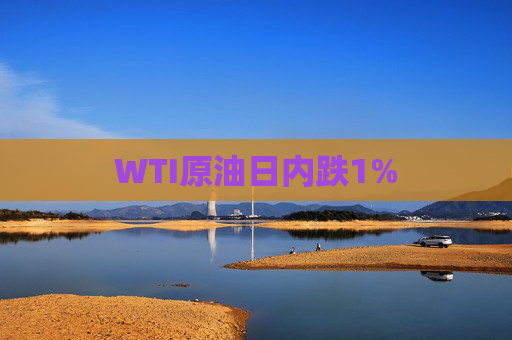 WTI原油日内跌1%
