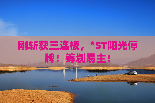 刚斩获三连板，*ST阳光停牌！筹划易主！