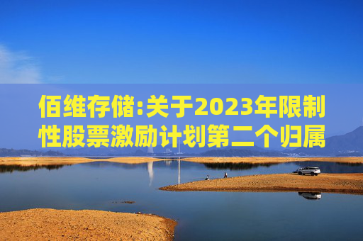佰维存储:关于2023年限制性股票激励计划第二个归属期（第二批次）、2024年限制性股票激励计划首次授予第一个归属期（第二批次）归属结果暨股份上市的公告