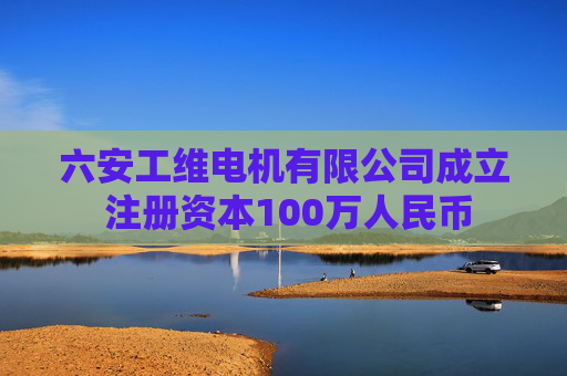 六安工维电机有限公司成立 注册资本100万人民币 第1张 六安工维电机有限公司成立 注册资本100万人民币 第1张