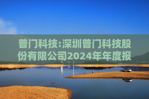 普门科技:深圳普门科技股份有限公司2024年年度报告