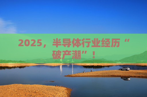 2025,半导体行业经历“破产潮”!