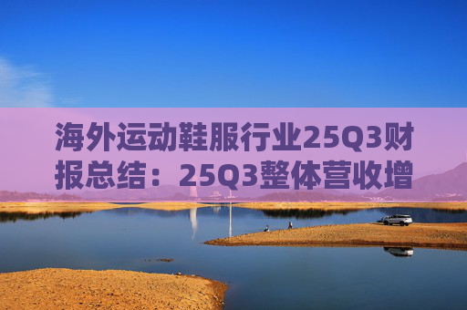 海外运动鞋服行业25Q3财报总结：25Q3整体营收增速放缓 毛利率表现分化 多数费率提升