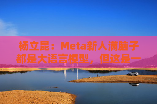 杨立昆：Meta新人满脑子都是大语言模型，但这是一条死胡同