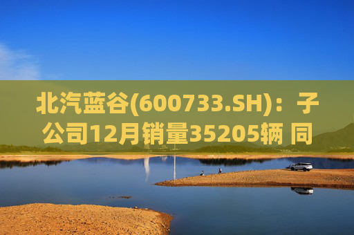 北汽蓝谷(600733.SH):子公司12月销量35205辆 同比增长114.56%