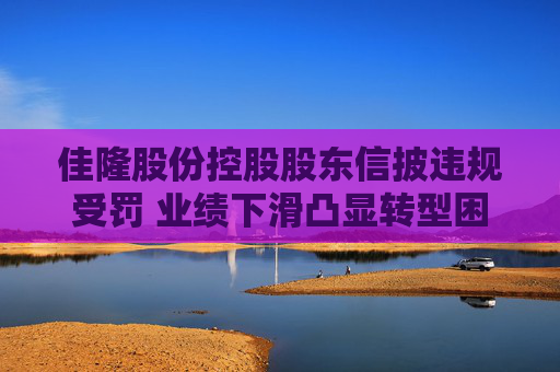 佳隆股份控股股东信披违规受罚 业绩下滑凸显转型困局  第1张