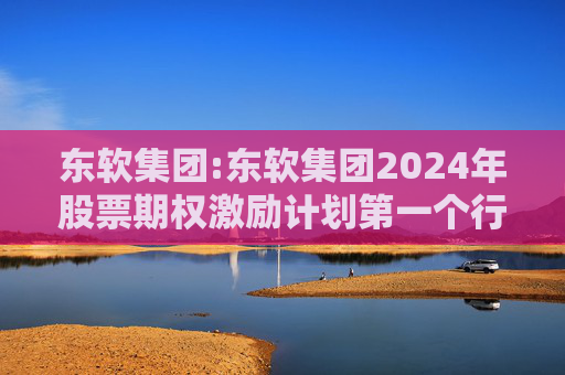 东软集团:东软集团2024年股票期权激励计划第一个行权期2025年第四季度自主行权结果暨股份变动的公告